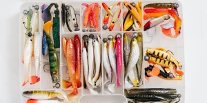 Είδη Αλιείας category image